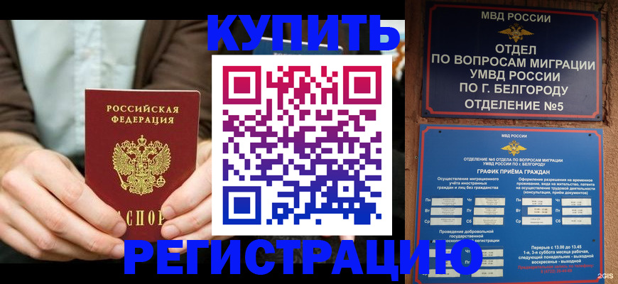 прописка 2025 в Апшеронске